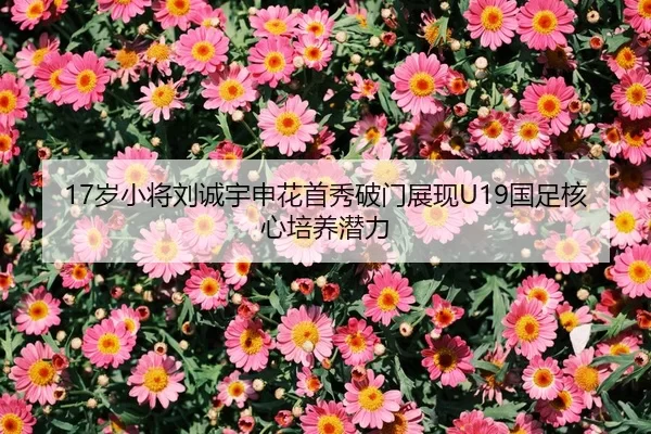 sui-xiao-jiang-liu-cheng-yu-shen-hua-shou-xiu-po-men-zhan-xian-guo-zu-he-xin-pei-yang-qian-li-1-810.jpg