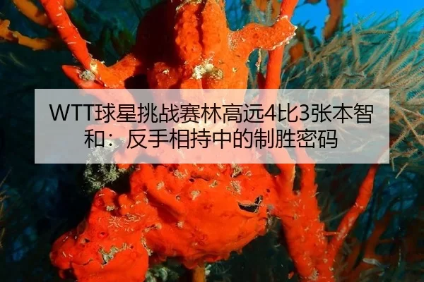 qiu-xing-tiao-zhan-sai-lin-gao-yuan-bi-zhang-ben-zhi-he-fan-shou-xiang-chi-zhong-de-zhi-sheng-mi-ma-1-975.jpg